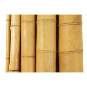 Ιστοί Bamboo