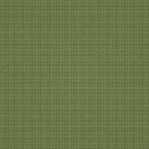 Olive Grove