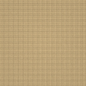 Sand Dune
